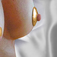 gold circle nipple shields handcrafted in silver with durable 24ct gold plating