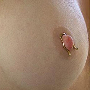 nipple clips in gold